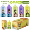 WASPE 60000 Puffs 3 in 1 Disposable Vape AIVIOU Free Shipping EU Warehouse